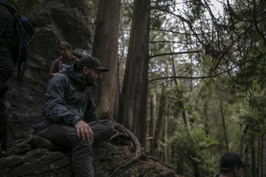 Forest Bathing What ?
