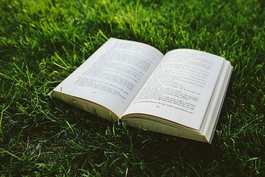 Must Read Adventure Books
