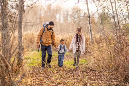 Essential Gear for a Perfect Day Hike in Southern Ontario