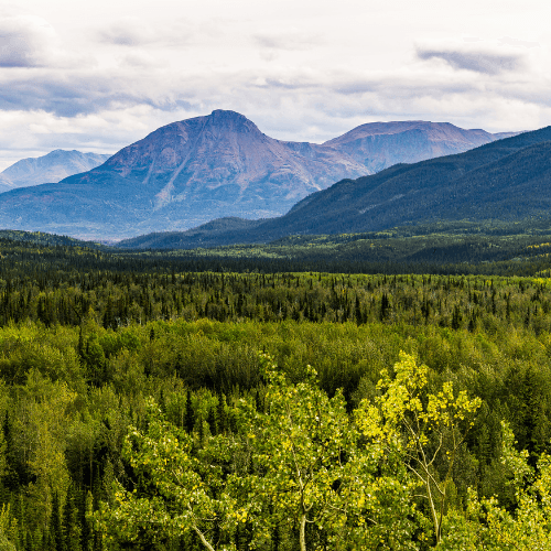 Top Day Hikes Near Vancouver