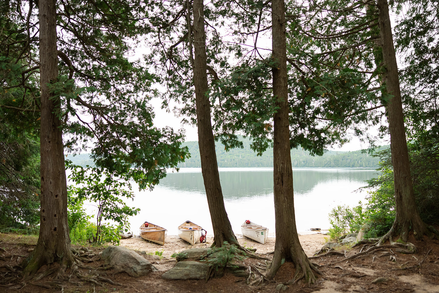 Ultimate Trip Outfitting