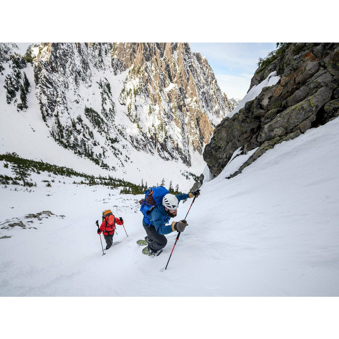MSR Poles DynaLock Ascent