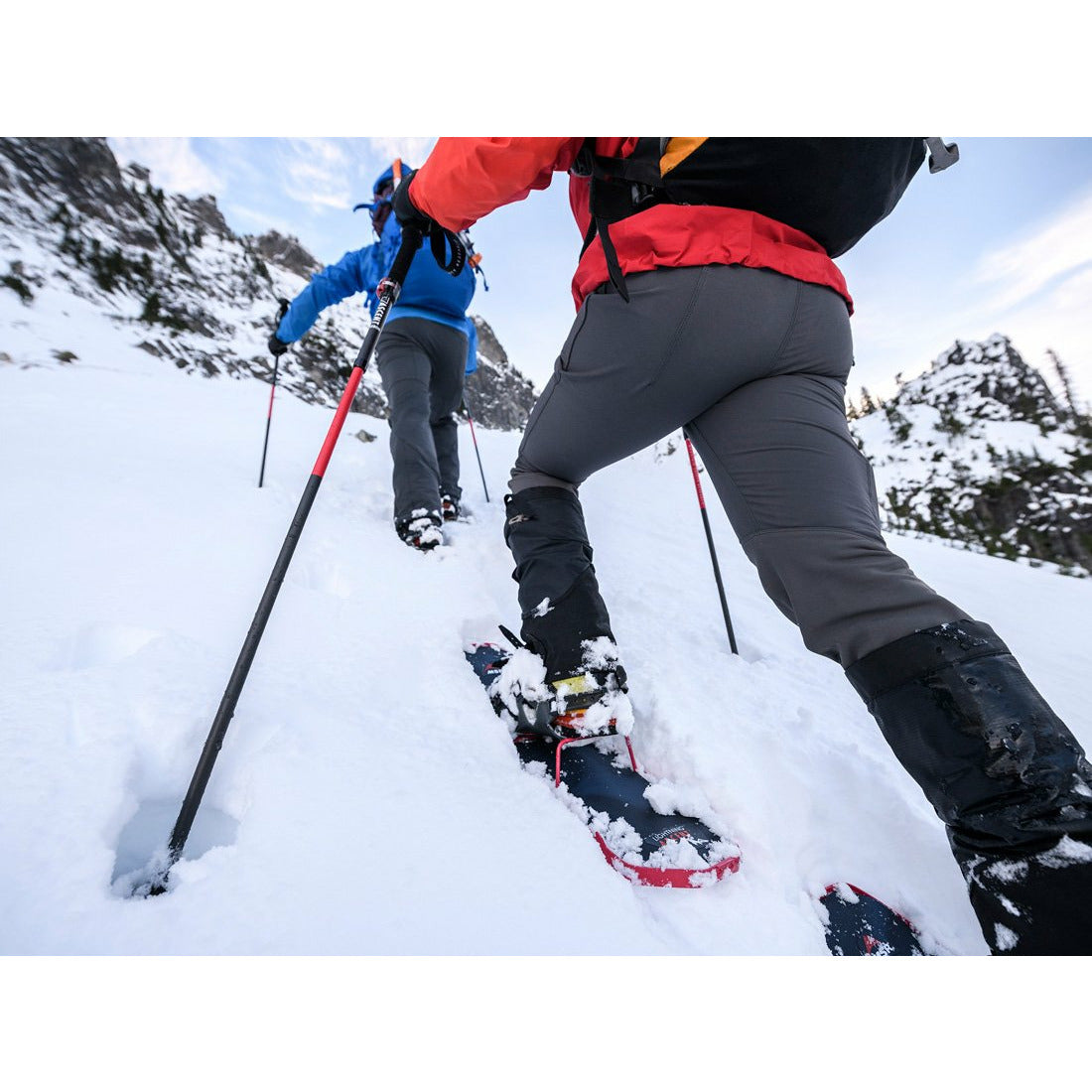 MSR Poles DynaLock Ascent