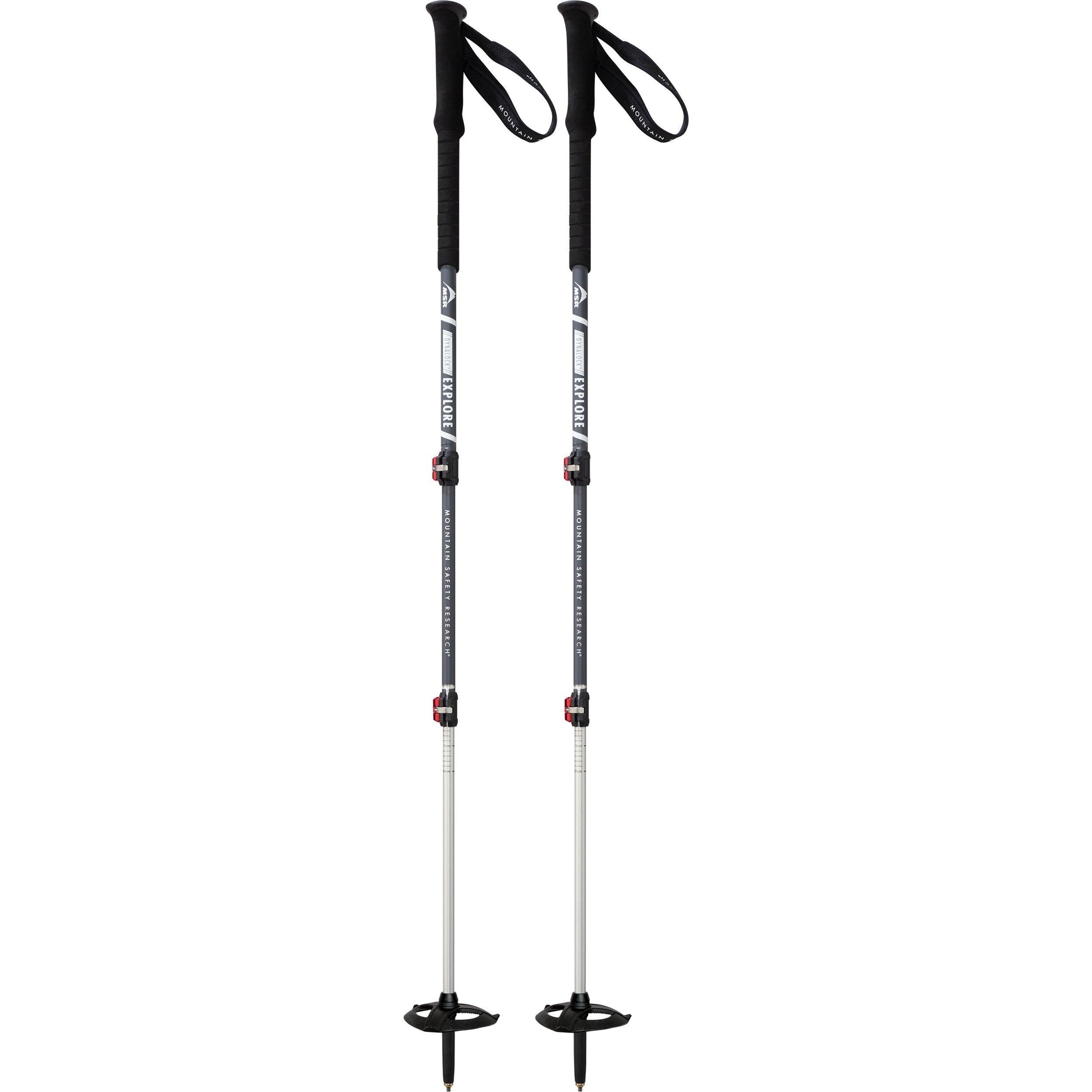 MSR Poles DynaLock Explore