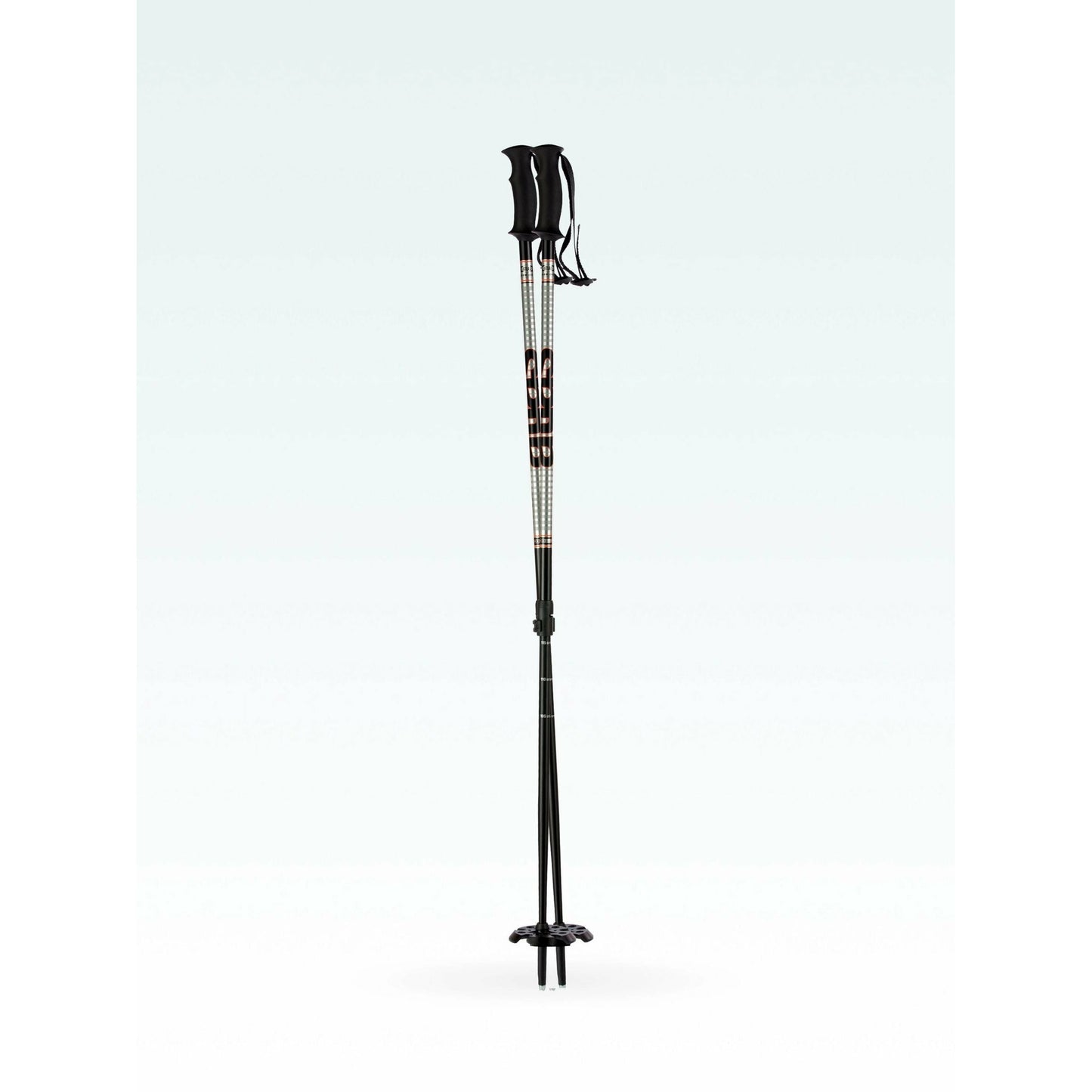 Atlas 2 Piece Lockjaw Poles
