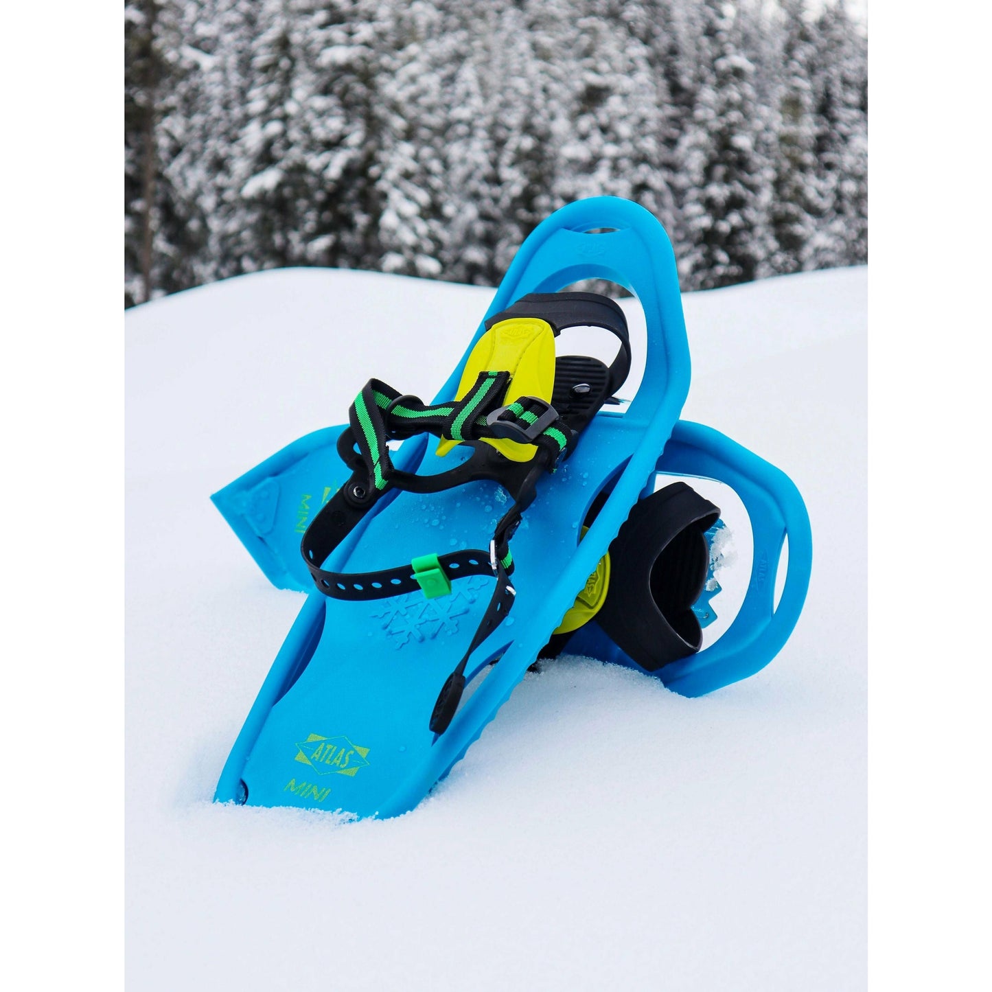 Atlas Mini 17"