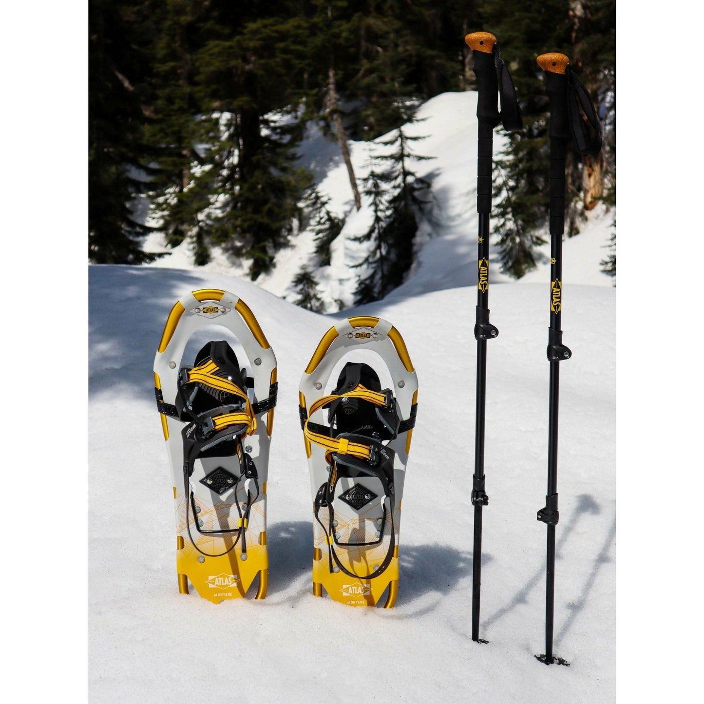 Atlas Montane Elektra Womens Snowshoe
