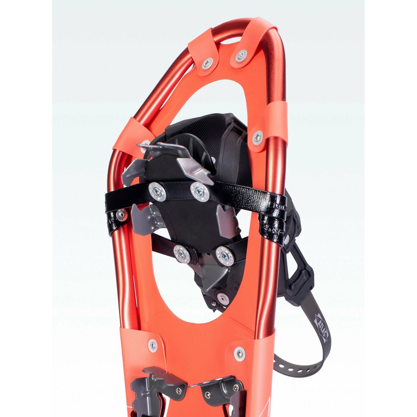 Atlas Treeline Elektra