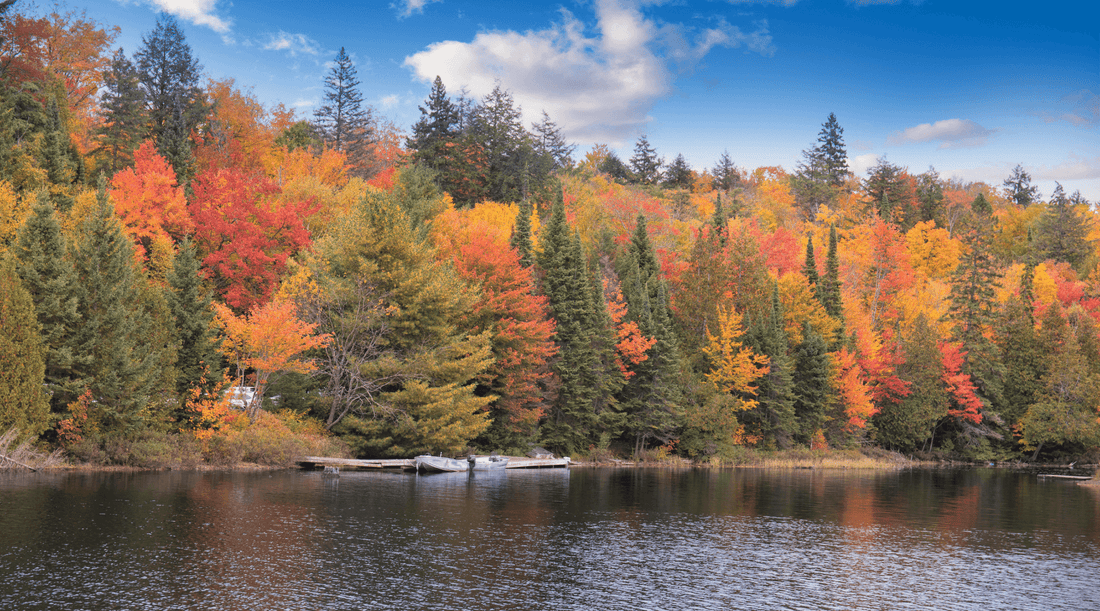 Where To See Fall Colours In Algonquin Provincial Park