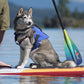 Stohlquist Pup Float - Dog PFD